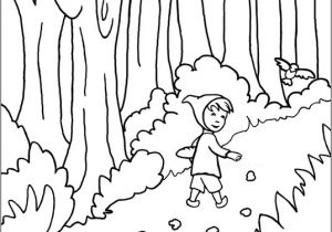 Coloriage Le Petit Poucet Kidadoweb Coloriages De Contes