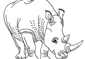 Coloriage Le Roi Et L Oiseau 84 Best Coloriages Animaux Sauvages Images On Pinterest