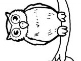 Coloriage Léopard A Imprimer 110 Best Coloriages D Oiseaux Images On Pinterest