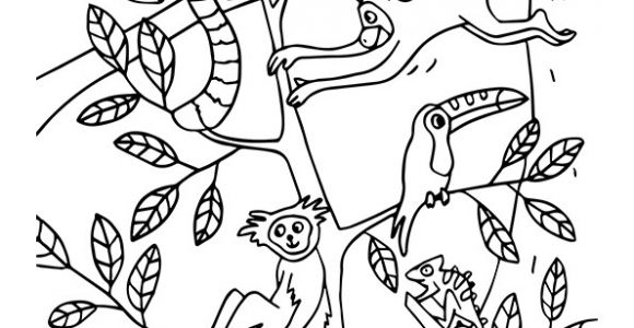 Coloriage Les Petites Betes Coloriage Du Jeu Du Cache Cache Des Animaux De La Jungle