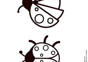 Coloriage Les Petites Betes Deux Images Vue D En Haut De Deux Coccinelles   Colorier