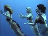 Coloriage Les Sirene De Mako Les Sirènes De Mako Momes