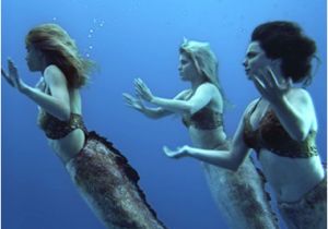 Coloriage Les Sirene De Mako Les Sirènes De Mako Momes