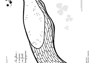 Coloriage Limace Coloriage D Une Petite Limace