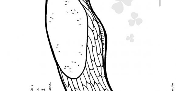 Coloriage Limace Coloriage D Une Petite Limace