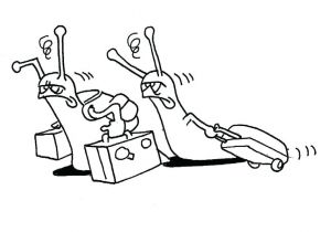 Coloriage Limace Coloriage Limace A Imprimer Gratuit Escargot – Fashionzenfo