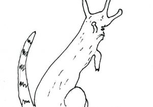 Coloriage Limace Coloriage Limace – Mobilorszagfo