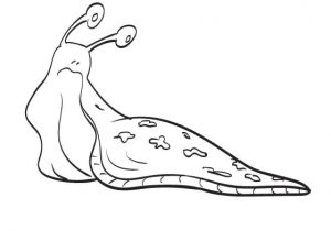 Coloriage Limace Dessin Et Coloriage Limace   Imprimer