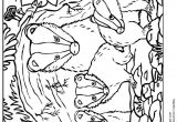 Coloriage Long A Faire 77 Best Coloriages De Bébés Animaux Images On Pinterest