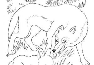Coloriage Louveteau Coloriage Louve Et Louveteau