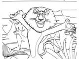Coloriage Madagascar 3 Coloriage Dessins Dessins   Imprimer Et La Couleur En Ligne