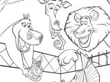 Coloriage Madagascar 3 Madagascar Coloring Pages