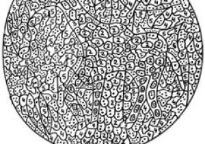 Coloriage Magique à Imprimer Difficile 102 Meilleures Images Du Tableau Coloriages Magiques Pour