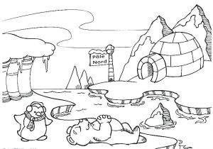 Coloriage Magique Banquise Coloriage Ours Polaire Dessin Animac 18 Dessins De Banquise A
