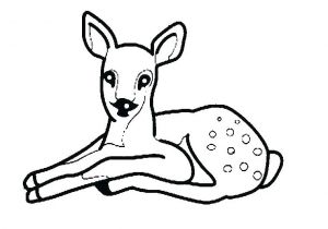 Coloriage Magique Biche Coloriage Biche A Imprimer Gratuit Coloriage Biche Imprimer