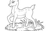 Coloriage Magique Biche Dessin   Colorier D Un Petit Faon Dans Les Champs