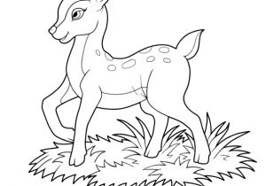 Coloriage Magique Biche Dessin   Colorier D Un Petit Faon Dans Les Champs