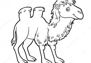 Coloriage Magique Chameau Coloriage Chameau Reprendre Download