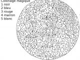 Coloriage Magique Difficile Animaux Dessins Gratuits   Colorier Coloriage Adulte Difficile   Imprimer