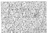 Coloriage Magique Loup Auzou Coloriage Magique 99 éducatifs – Coloriages   Imprimer