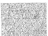 Coloriage Magique Loup Auzou Coloriage Magique 99 éducatifs – Coloriages   Imprimer