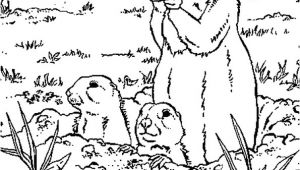 Coloriage Magique Marmotte Coloriage Marmottes En Ligne Gratuit   Imprimer