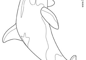 Coloriage Magique orque 114 Dessins De Coloriage orque   Imprimer