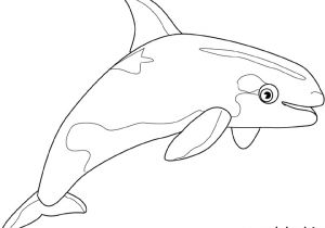 Coloriage Magique orque Coloriage orque Dessin