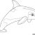 Coloriage Magique orque Coloriage orque Dessin