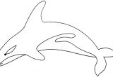Coloriage Magique orque Coloriage orque Et Dauphin