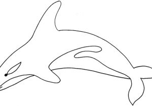 Coloriage Magique orque Coloriage orque Et Dauphin