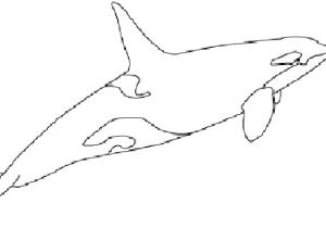 Coloriage Magique orque Coloriage orque