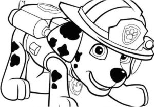 Coloriage Magique Pat Patrouille Coloriage Jul Coloriage Pat Patrouille Dalmatien Marcus