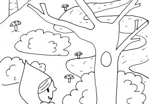Coloriage Magique Petit Chaperon Rouge Maternelle Chemin Pour Enfant Coloriage