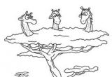 Coloriage Maitresse Gratuit 84 Best Coloriages Animaux Sauvages Images On Pinterest