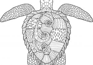 Coloriage Mandala Anti Stress Animaux Coloriage Anti Stress tortue Imprimer Sur Coloriages Info