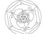 Coloriage Mandala De Dauphin Les 251 Meilleures Images De Dauphin Brico