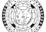 Coloriage Mandala Enfant Mandala Chat Par Allan Coloriage Mandalas Coloriages Pour Enfants
