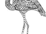 Coloriage Mandala Flamant Rose Advanced Animal Coloring Page 13 Pinterest
