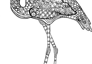 Coloriage Mandala Flamant Rose Advanced Animal Coloring Page 13 Pinterest