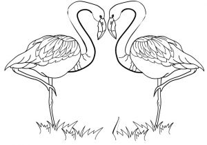 Coloriage Mandala Flamant Rose Coloriage Saint Valentin Coloriages Coloriage   Imprimer Gratuit