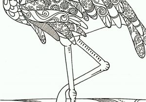 Coloriage Mandala Flamant Rose Flamand Rose   Colorier A Vos Crayons