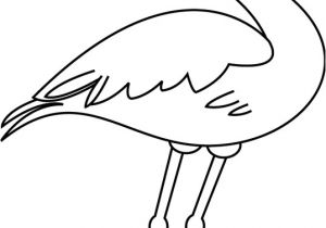 Coloriage Mandala Flamant Rose Flamant Rose Petit   Petit Faire La Fªte