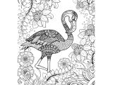 Coloriage Mandala Flamant Rose Flamingo Pinterest