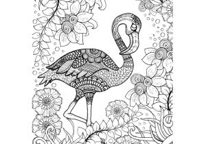 Coloriage Mandala Flamant Rose Flamingo Pinterest