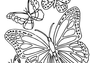 Coloriage Mandala Fleur Et Papillon Mandalas Papillon 18 Mandalas – Coloriages à Imprimer 4458