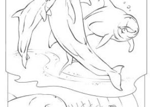 Coloriage Mandala orque 17 Dessins De Coloriage Mandala orque Imprimer Coloriage Mandala orque 17 Dessins De Coloriage Mandala orque Imprimer