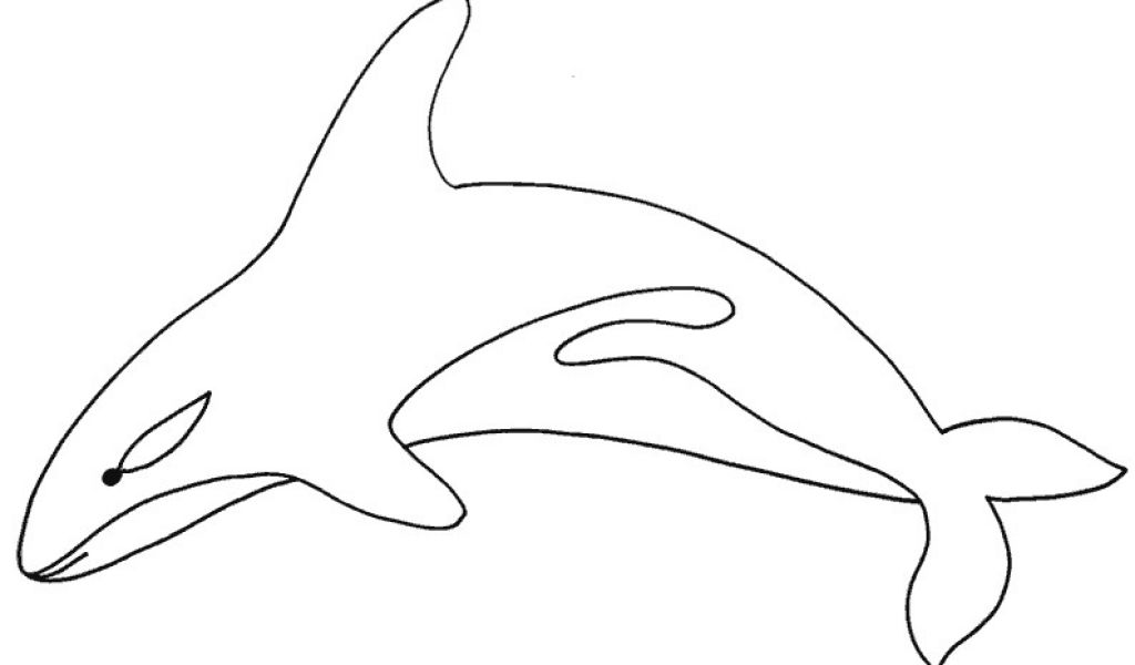 Coloriage Mandala orque Coloriage orque Et Dauphin | danieguto.net