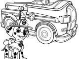 Coloriage Marcus Pat Patrouille 138 Meilleures Images Du Tableau Papatrouilles