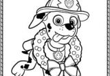 Coloriage Marcus Pat Patrouille 54 Meilleures Images Du Tableau Coloriage Pat Patrouille